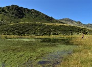 55 Piante acquatiche nel Lago Piccolo